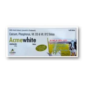 Acme White Bolus