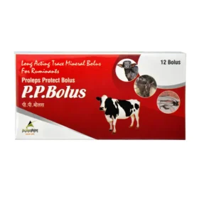 P.P. BOLUS – 3*4 bolus/box